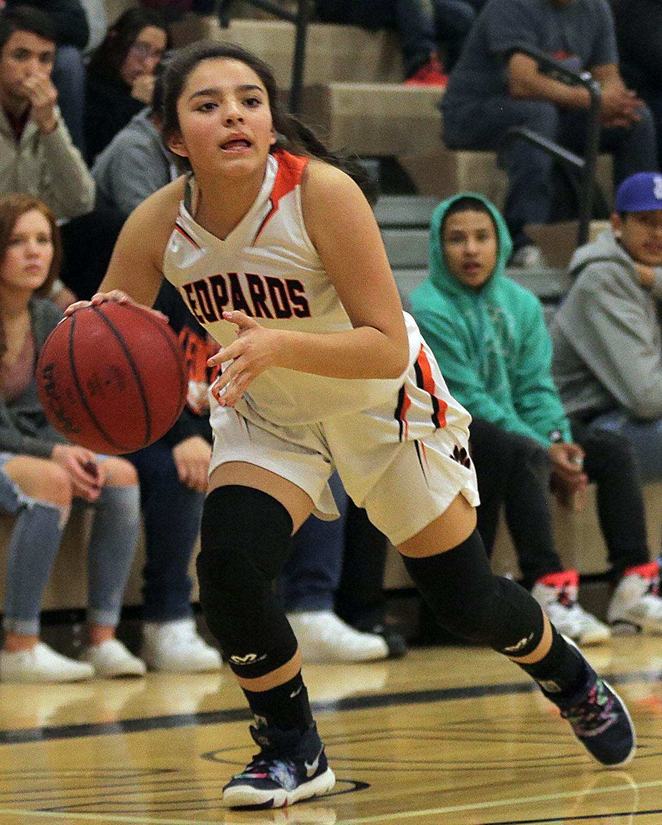 Owyhee at Wells Girls Basketball (5).jpg